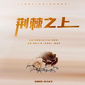 语音撰写小鸡导航
