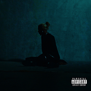 语音撰写小鸡导航
