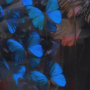 语音撰写小鸡导航
